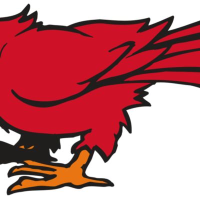 AR CARDINAL 59 RC Thumbnail