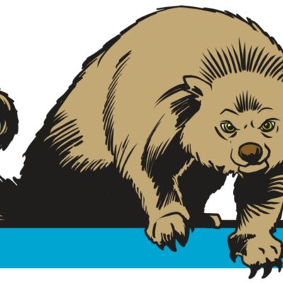 AR22 BEARCAT 02 RQC Thumbnail