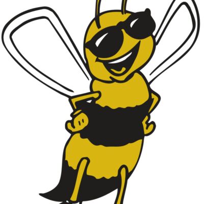 AR BEE 21 RC Thumbnail