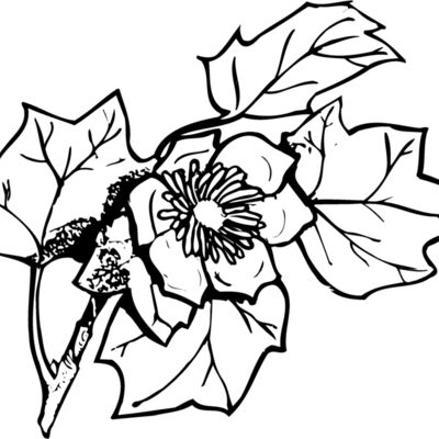 FLOWER09 Thumbnail